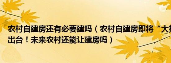 农村自建房还有必要建吗（农村自建房即将“大排查”新规出台！未来农村还能让建房吗）