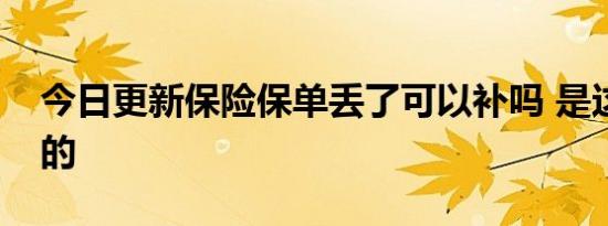 今日更新保险保单丢了可以补吗 是这样规定的