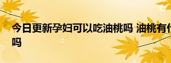 今日更新孕妇可以吃油桃吗 油桃有什么作用吗