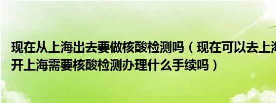 现在从上海出去要做核酸检测吗（现在可以去上海送货吗 离开上海需要核酸检测办理什么手续吗）