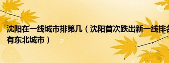 沈阳在一线城市排第几（沈阳首次跌出新一线排名 名单中没有东北城市）