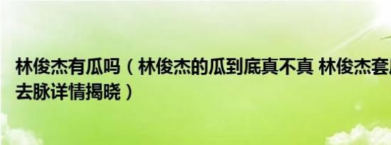 林俊杰有瓜吗（林俊杰的瓜到底真不真 林俊杰套房事件来龙去脉详情揭晓）