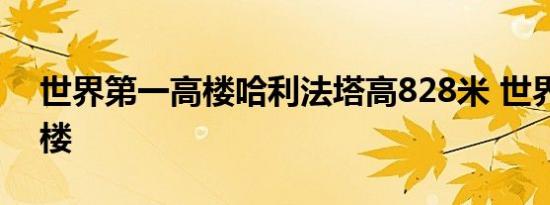 世界第一高楼哈利法塔高828米 世界第一高楼 