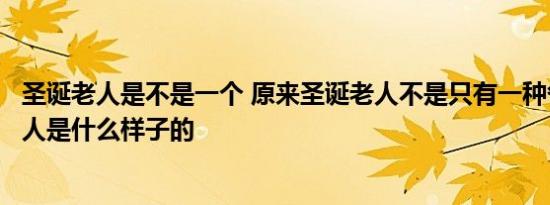 圣诞老人是不是一个 原来圣诞老人不是只有一种各国圣诞老人是什么样子的 