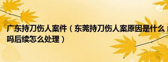 广东持刀伤人案件（东莞持刀伤人案原因是什么 凶手抓到了吗后续怎么处理）