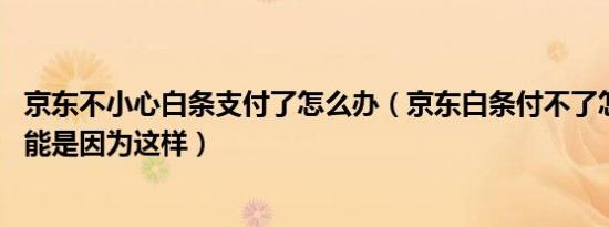 京东不小心白条支付了怎么办（京东白条付不了怎么办 有可能是因为这样）