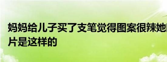 妈妈给儿子买了支笔觉得图案很辣她眼睛的照片是这样的