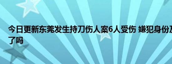 今日更新东莞发生持刀伤人案6人受伤 嫌犯身份及原因公布了吗