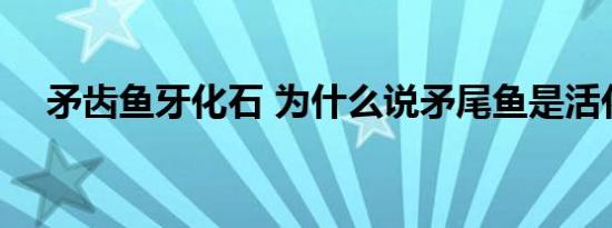 矛齿鱼牙化石 为什么说矛尾鱼是活化石 