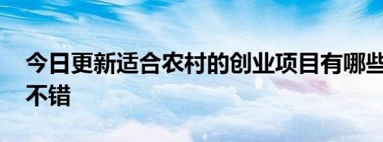 今日更新适合农村的创业项目有哪些 这几个不错