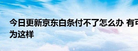 今日更新京东白条付不了怎么办 有可能是因为这样