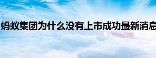 蚂蚁集团为什么没有上市成功最新消息怎么样