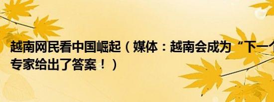 越南网民看中国崛起（媒体：越南会成为“下一个中国”吗 专家给出了答案！）