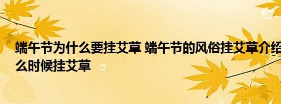 端午节为什么要挂艾草 端午节的风俗挂艾草介绍 端午节什么时候挂艾草