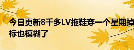 今日更新8千多LV拖鞋穿一个星期掉色 LV商标也模糊了