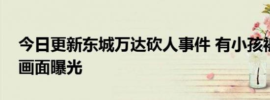 今日更新东城万达砍人事件 有小孩被捅现场画面曝光