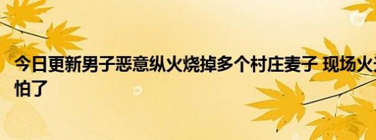 今日更新男子恶意纵火烧掉多个村庄麦子 现场火光冲天太可怕了