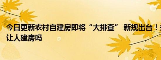 今日更新农村自建房即将“大排查” 新规出台！未来农村还让人建房吗