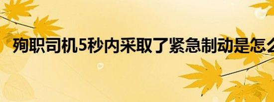 殉职司机5秒内采取了紧急制动是怎么回事