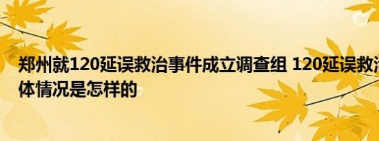 郑州就120延误救治事件成立调查组 120延误救治大学生具体情况是怎样的