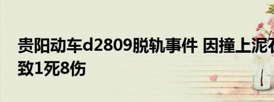 贵阳动车d2809脱轨事件 因撞上泥石流脱线致1死8伤