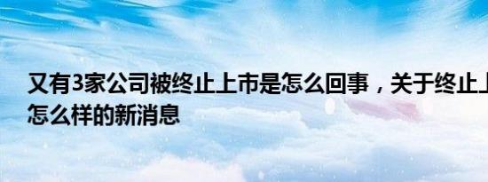 又有3家公司被终止上市是怎么回事，关于终止上市的公司怎么样的新消息