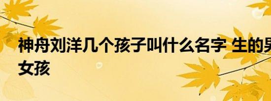 神舟刘洋几个孩子叫什么名字 生的男孩还是女孩