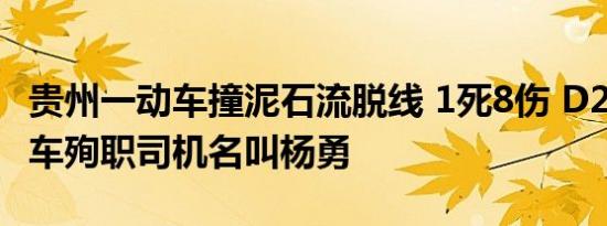 贵州一动车撞泥石流脱线 1死8伤 D2809次列车殉职司机名叫杨勇