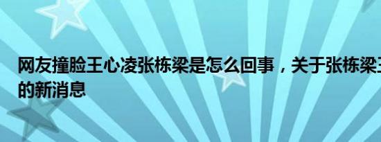 网友撞脸王心凌张栋梁是怎么回事，关于张栋梁王心凌绯闻的新消息