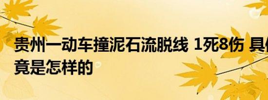 贵州一动车撞泥石流脱线 1死8伤 具体情况究竟是怎样的