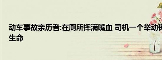 动车事故亲历者:在厕所摔满嘴血 司机一个举动保住一车人生命