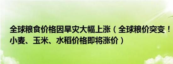 全球粮食价格因旱灾大幅上涨（全球粮价突变！ 6-9月份：小麦、玉米、水稻价格即将涨价）