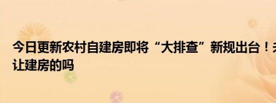 今日更新农村自建房即将“大排查”新规出台！未来农村还让建房的吗