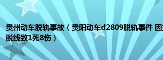 贵州动车脱轨事故（贵阳动车d2809脱轨事件 因撞上泥石流脱线致1死8伤）