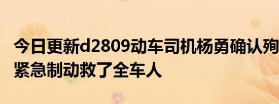 今日更新d2809动车司机杨勇确认殉职 5秒内紧急制动救了全车人