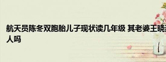 航天员陈冬双胞胎儿子现状读几年级 其老婆王晓燕身份是军人吗