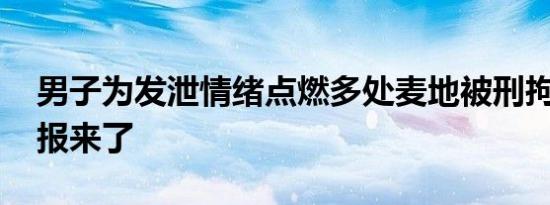 男子为发泄情绪点燃多处麦地被刑拘 警方通报来了