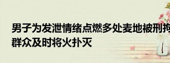 男子为发泄情绪点燃多处麦地被刑拘 村干部群众及时将火扑灭