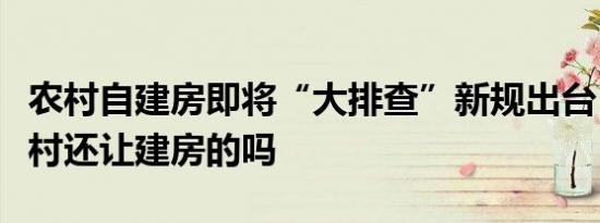 农村自建房即将“大排查”新规出台！未来农村还让建房的吗