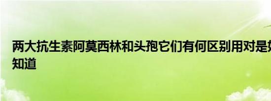 两大抗生素阿莫西林和头孢它们有何区别用对是好药一定要知道