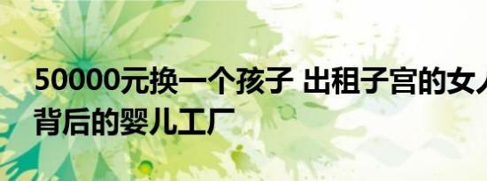 50000元换一个孩子 出租子宫的女人和她们背后的婴儿工厂