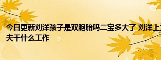 今日更新刘洋孩子是双胞胎吗二宝多大了 刘洋上太空几次丈夫干什么工作