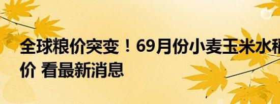 全球粮价突变！69月份小麦玉米水稻即将涨价 看最新消息