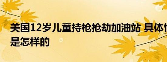 美国12岁儿童持枪抢劫加油站 具体情况究竟是怎样的