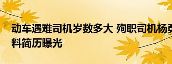 动车遇难司机岁数多大 殉职司机杨勇个人资料简历曝光