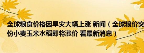 全球粮食价格因旱灾大幅上涨 新闻（全球粮价突变！6-9月份小麦玉米水稻即将涨价 看最新消息）