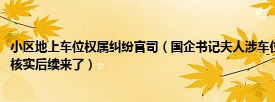 小区地上车位权属纠纷官司（国企书记夫人涉车位纠纷 官方核实后续来了）