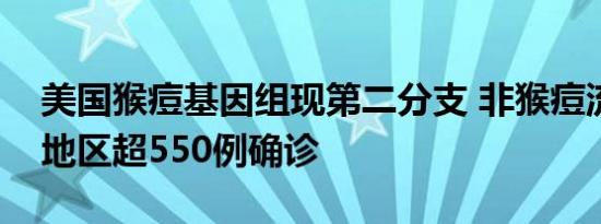 美国猴痘基因组现第二分支 非猴痘流行国家地区超550例确诊