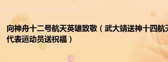 向神舟十二号航天英雄致敬（武大靖送神十四航天员出征 他代表运动员送祝福）