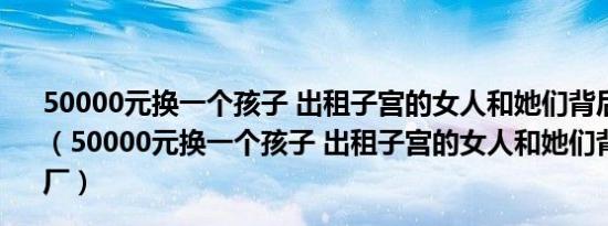 50000元换一个孩子 出租子宫的女人和她们背后的婴儿工厂（50000元换一个孩子 出租子宫的女人和她们背后的婴儿工厂）